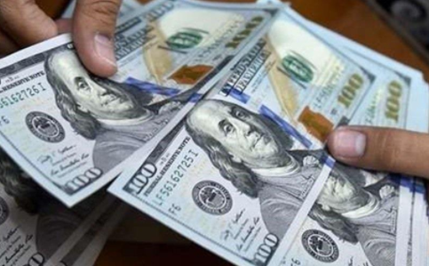 Dollar exchange rates are stable in local markets